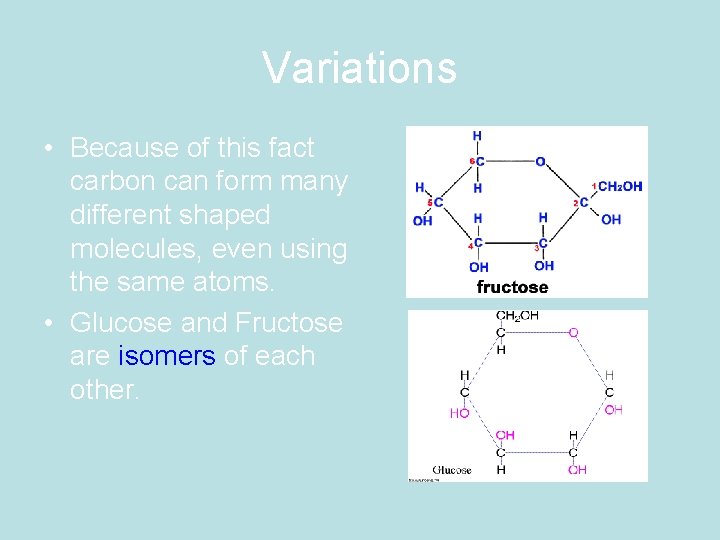 Variations • Because of this fact carbon can form many different shaped molecules, even