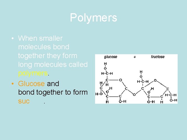 Polymers • When smaller molecules bond together they form long molecules called polymers. •