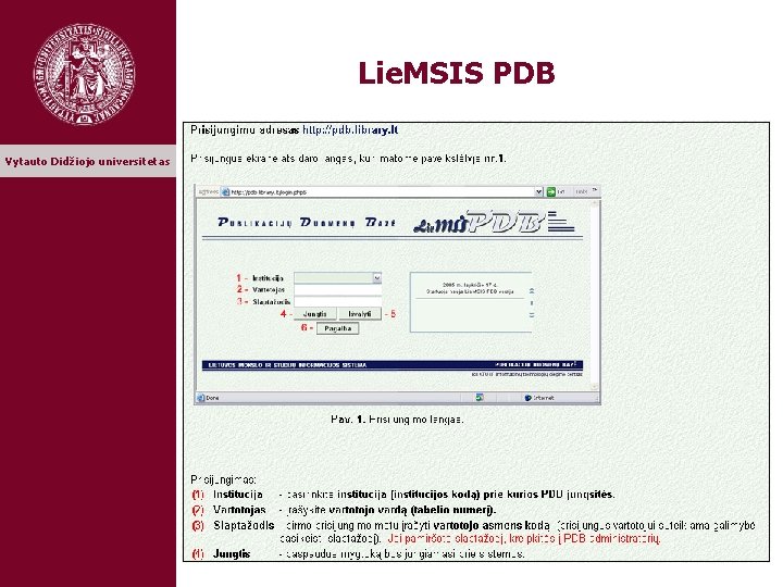 Lie. MSIS PDB Vytauto Didžiojo universitetas 