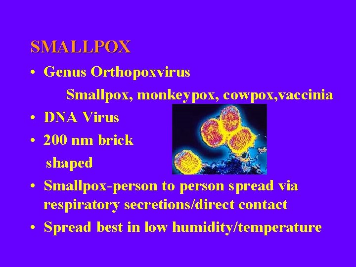 SMALLPOX • Genus Orthopoxvirus Smallpox, monkeypox, cowpox, vaccinia • DNA Virus • 200 nm