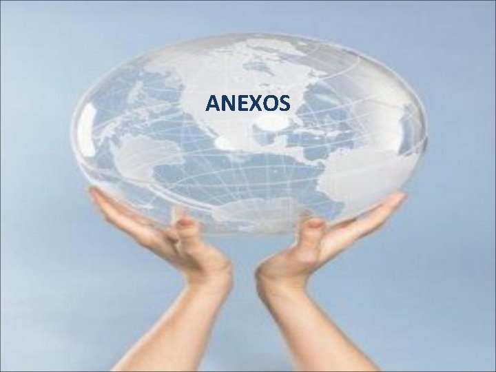 ANEXOS 