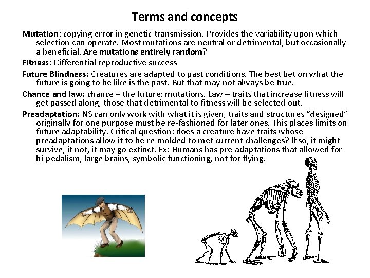Terms and concepts Mutation: copying error in genetic transmission. Provides the variability upon which