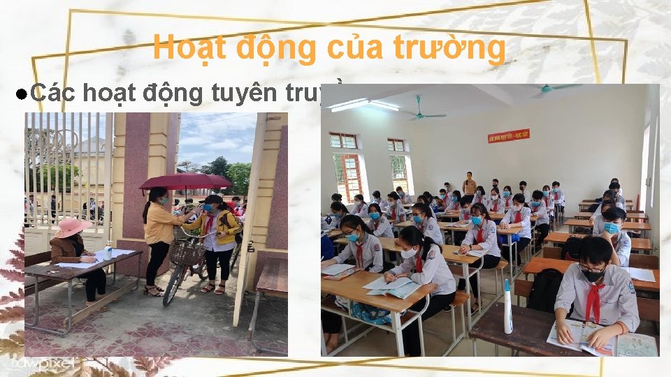 Hoạt động của trường ●Các hoạt động tuyên truyền 