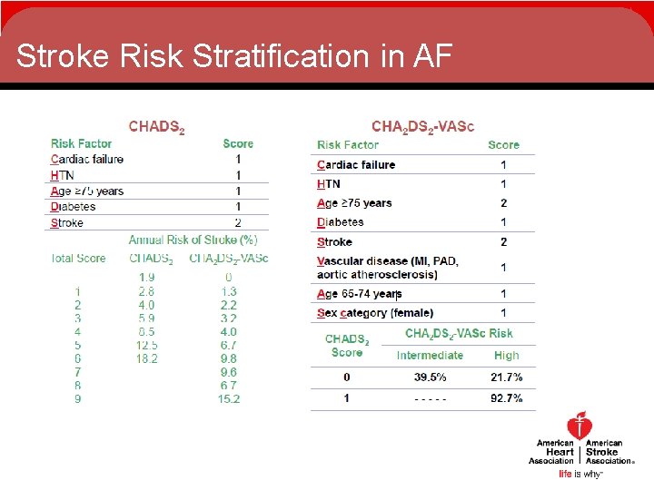 Stroke Risk Stratification in AF Stroke Risk Stratification in AF