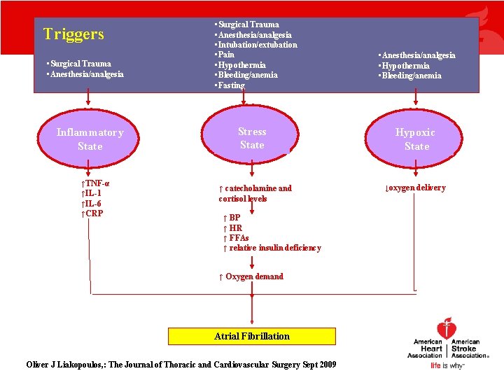 Triggers • Surgical Trauma • Anesthesia/analgesia Inflammatory State ↑TNF-α ↑IL-1 ↑IL-6 ↑CRP • Surgical Triggers • Surgical Trauma • Anesthesia/analgesia Inflammatory State ↑TNF-α ↑IL-1 ↑IL-6 ↑CRP • Surgical