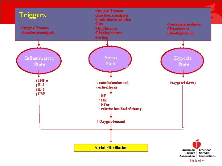 Triggers • Surgical Trauma • Anesthesia/analgesia Inflammatory State ↑TNF-α ↑IL-1 ↑IL-6 ↑CRP • Surgical Triggers • Surgical Trauma • Anesthesia/analgesia Inflammatory State ↑TNF-α ↑IL-1 ↑IL-6 ↑CRP • Surgical