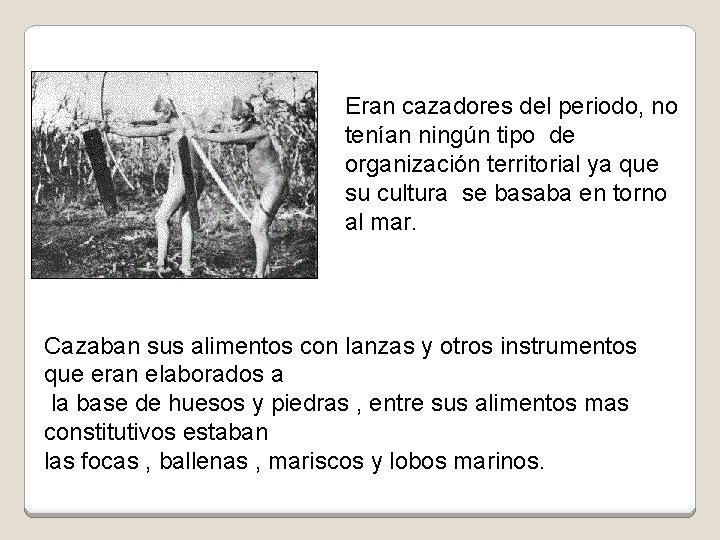 Eran cazadores del periodo, no tenían ningún tipo de organización territorial ya que su