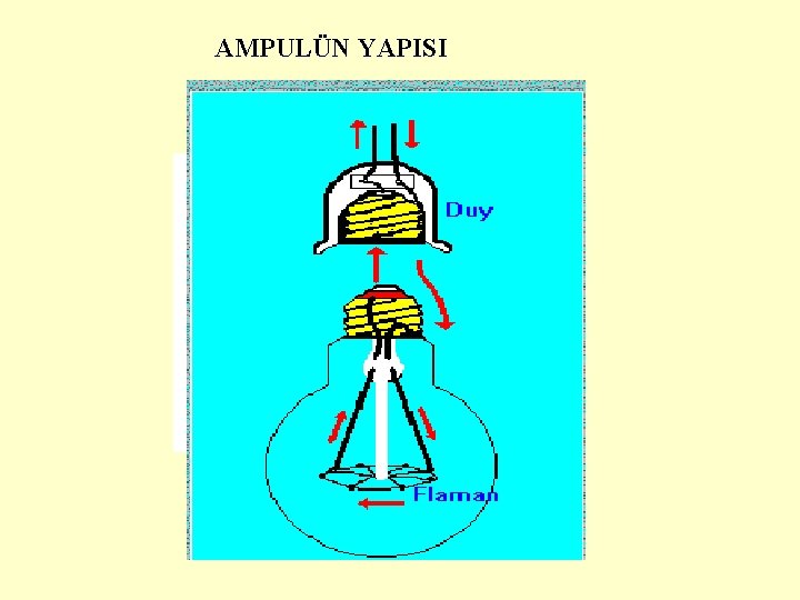 AMPULÜN YAPISI 