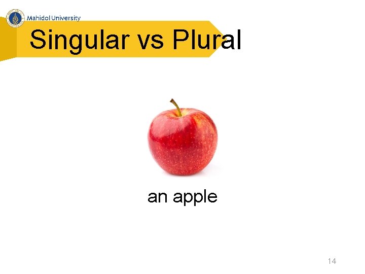 Singular vs Plural an apple 14 