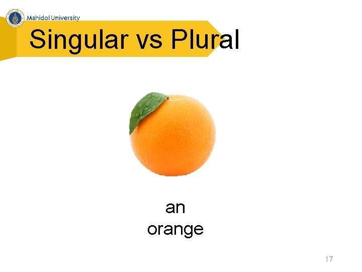 Singular vs Plural an orange 17 