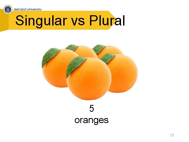 Singular vs Plural 5 oranges 18 