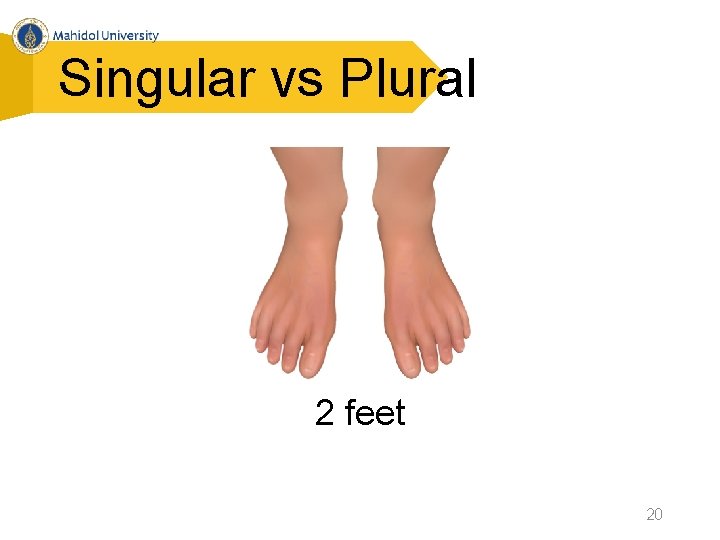 Singular vs Plural 2 feet 20 