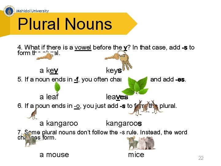 Plural Nouns 4. What if there is a vowel before the y? In that