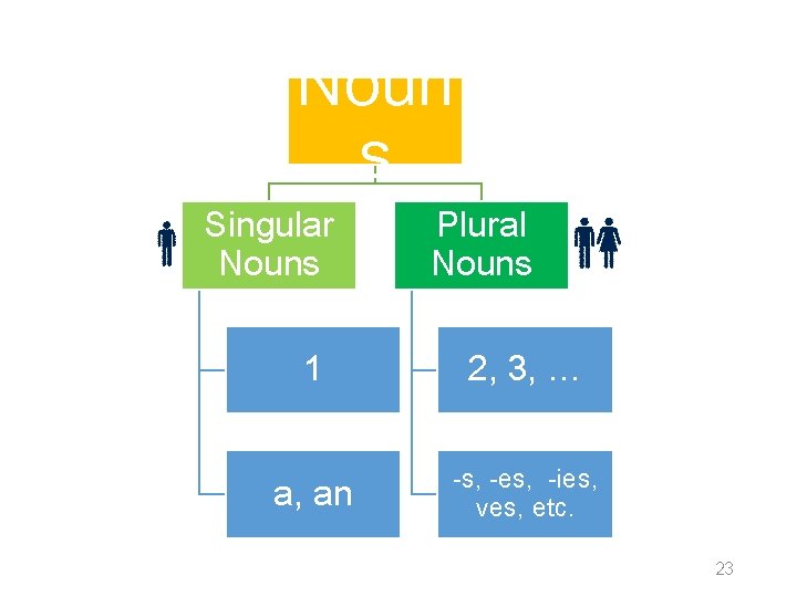 Noun s Singular Nouns Plural Nouns 1 2, 3, … a, an -s, -es,