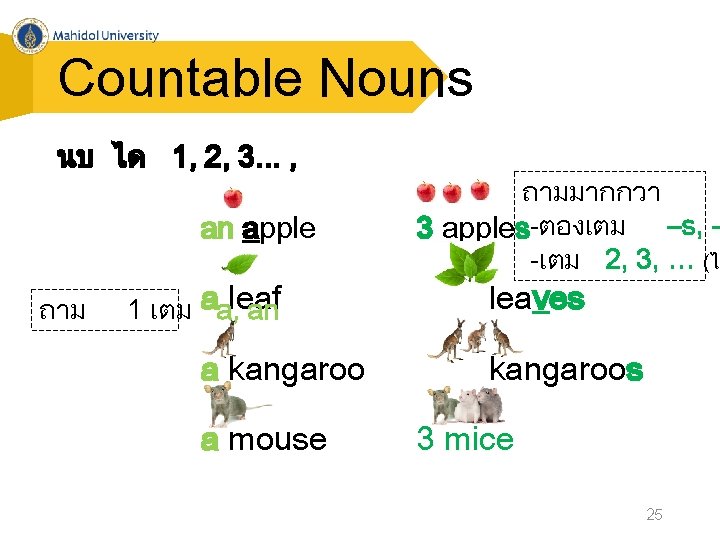 Countable Nouns นบ ได 1, 2, 3. . . , an apple ถาม 1