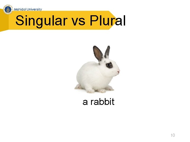 Singular vs Plural a rabbit 10 