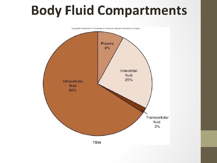 Body Fluid Compartments 