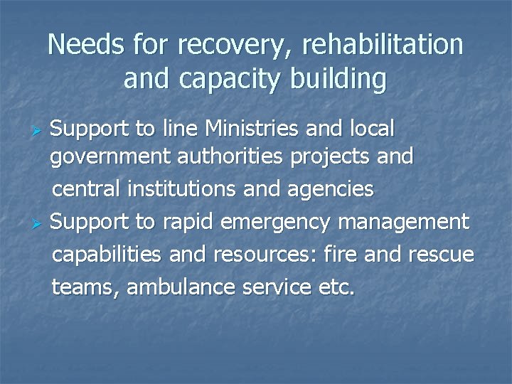 Needs for recovery, rehabilitation and capacity building Support to line Ministries and local government