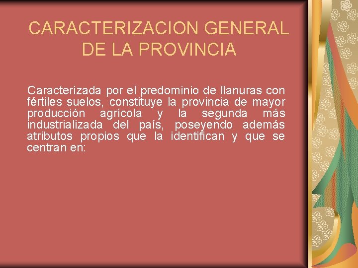 CARACTERIZACION GENERAL DE LA PROVINCIA Caracterizada por el predominio de llanuras con fértiles suelos,