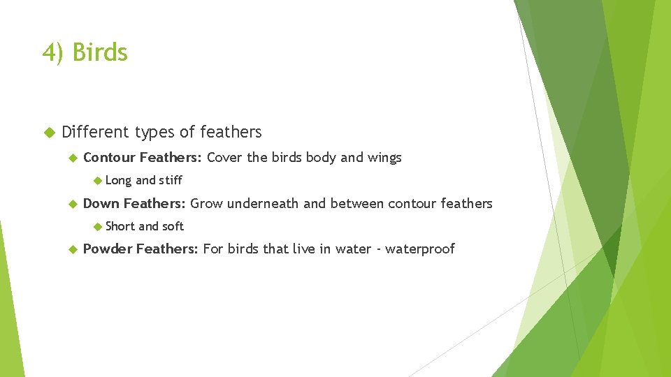 4) Birds Different types of feathers Contour Feathers: Cover the birds body and wings