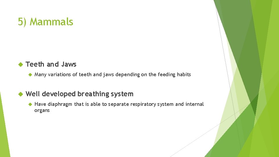 5) Mammals Teeth and Jaws Many variations of teeth and jaws depending on the