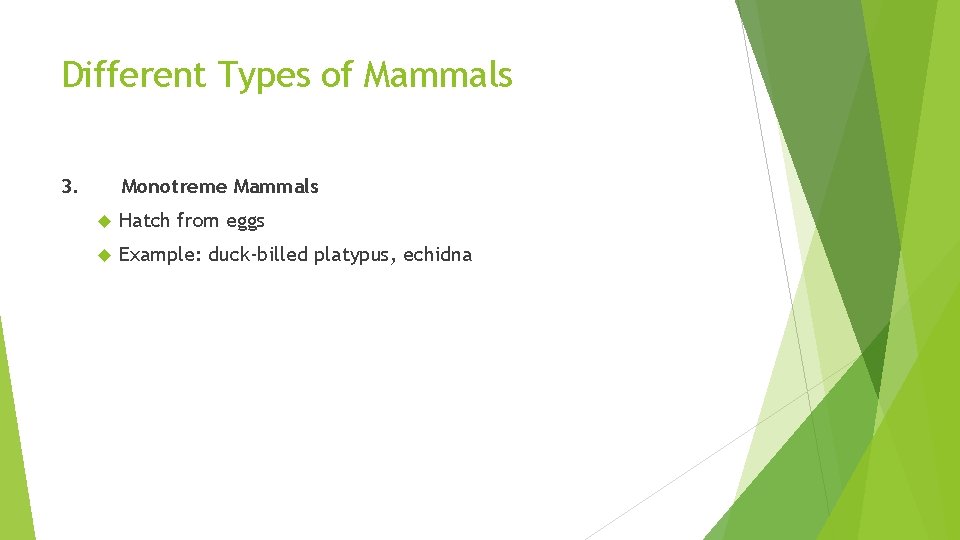 Different Types of Mammals 3. Monotreme Mammals Hatch from eggs Example: duck-billed platypus, echidna