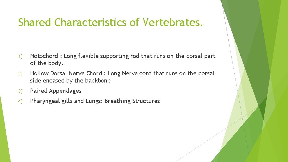 Shared Characteristics of Vertebrates. 1) Notochord : Long flexible supporting rod that runs on