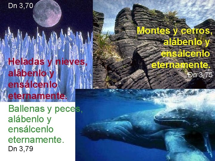 Dn 3, 70 Heladas y nieves, alábenlo y ensálcenlo eternamente. Ballenas y peces, alábenlo