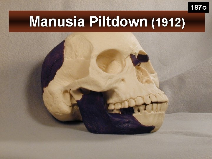 187 o Manusia Piltdown (1912) 