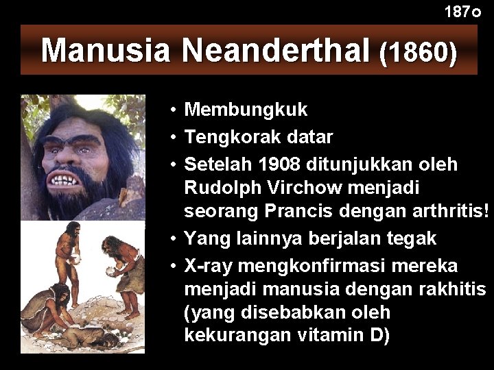 187 o Manusia Neanderthal (1860) • Membungkuk • Tengkorak datar • Setelah 1908 ditunjukkan