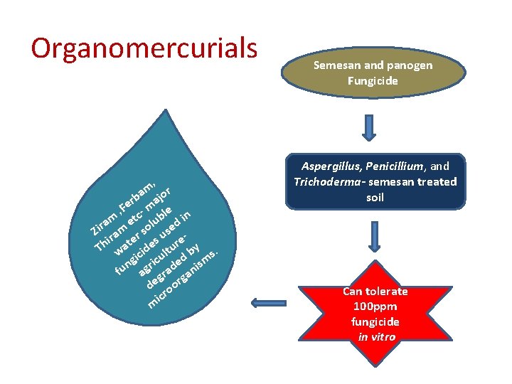 Organomercurials , m r ba ajo r , Fe c- m le n m