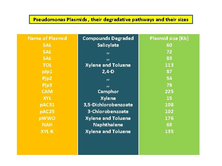 Pseudomonas Plasmids , their degradative pathways and their sizes Name of Plasmid SAL SAL
