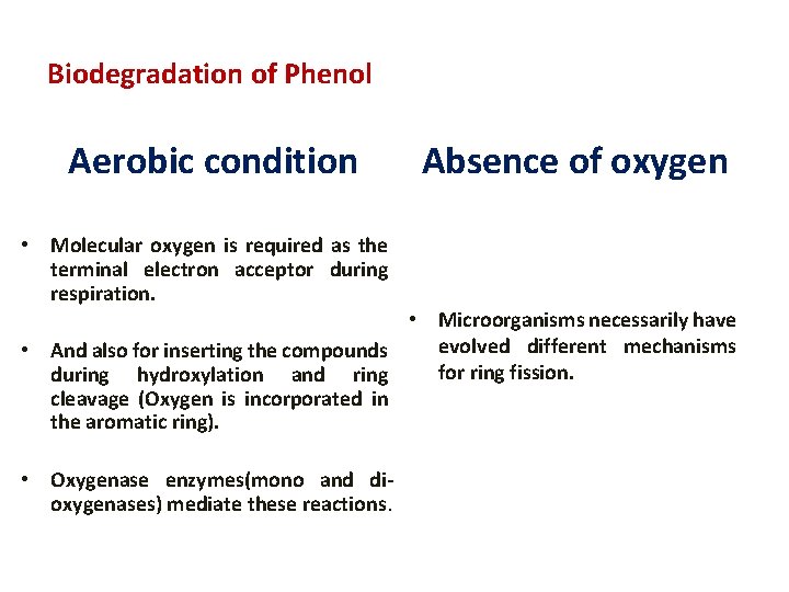 Biodegradation of Phenol Aerobic condition Absence of oxygen • Molecular oxygen is required as