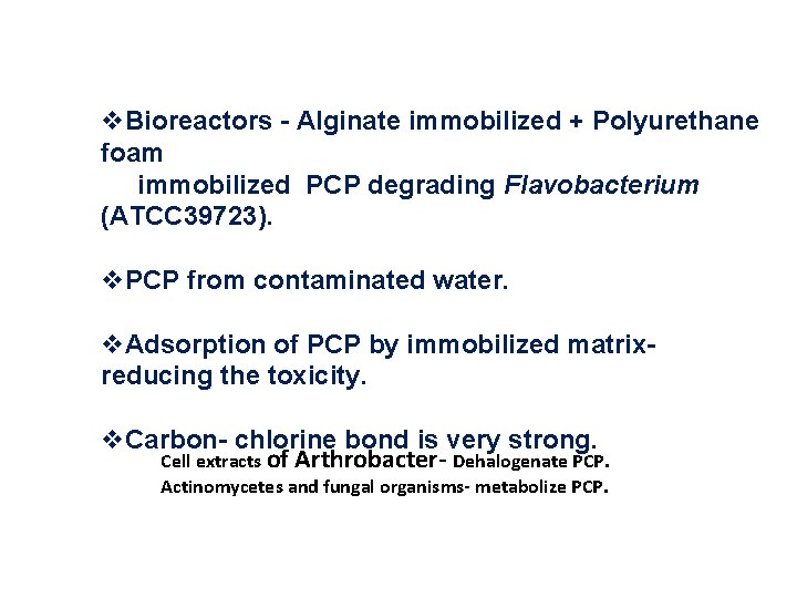 v. Bioreactors - Alginate immobilized + Polyurethane foam immobilized PCP degrading Flavobacterium (ATCC 39723).