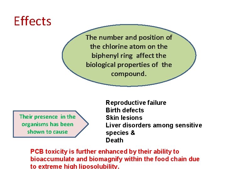 Effects The number and position of the chlorine atom on the biphenyl ring affect