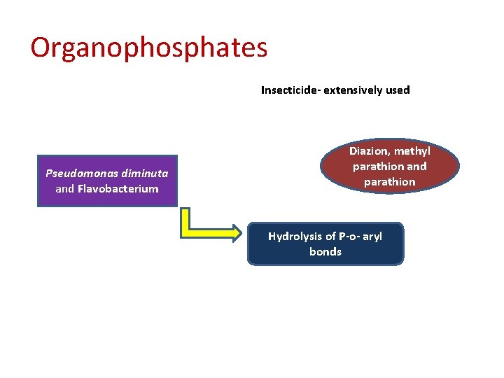 Organophosphates Insecticide- extensively used Pseudomonas diminuta and Flavobacterium Diazion, methyl parathion and parathion Hydrolysis