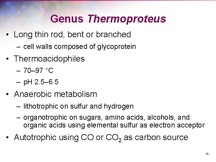 Genus Thermoproteus • Long thin rod, bent or branched – cell walls composed of