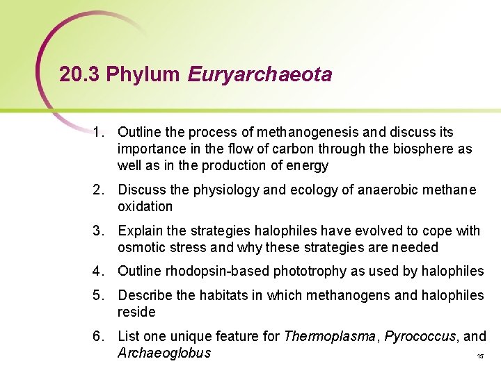 20. 3 Phylum Euryarchaeota 1. Outline the process of methanogenesis and discuss its importance
