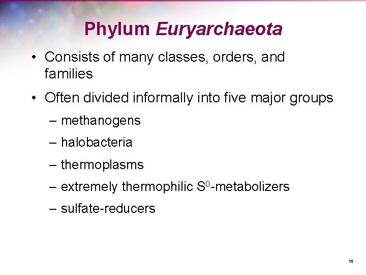 Phylum Euryarchaeota • Consists of many classes, orders, and families • Often divided informally