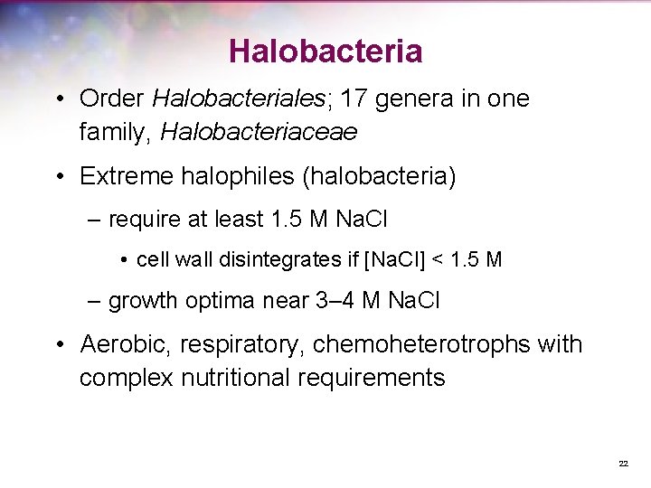 Halobacteria • Order Halobacteriales; 17 genera in one family, Halobacteriaceae • Extreme halophiles (halobacteria)
