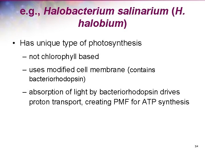 e. g. , Halobacterium salinarium (H. halobium) • Has unique type of photosynthesis –