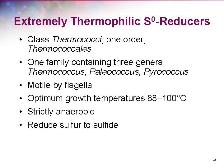 Extremely Thermophilic S 0 -Reducers • Class Thermococci; one order, Thermococcales • One family