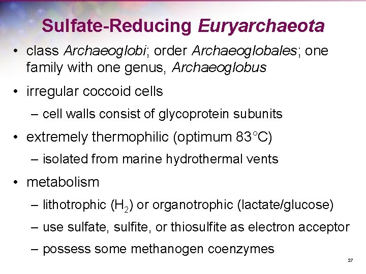 Sulfate-Reducing Euryarchaeota • class Archaeoglobi; order Archaeoglobales; one family with one genus, Archaeoglobus •