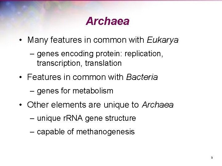 Archaea • Many features in common with Eukarya – genes encoding protein: replication, transcription,