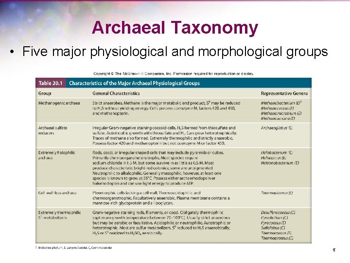 Archaeal Taxonomy • Five major physiological and morphological groups 5 