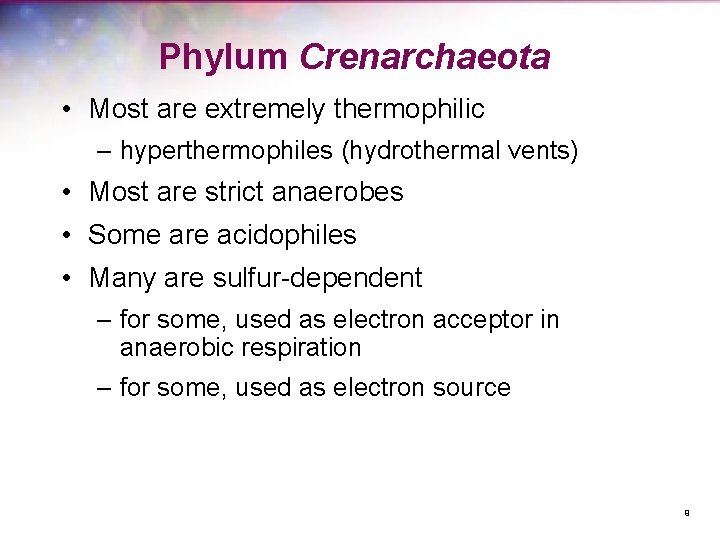 Phylum Crenarchaeota • Most are extremely thermophilic – hyperthermophiles (hydrothermal vents) • Most are