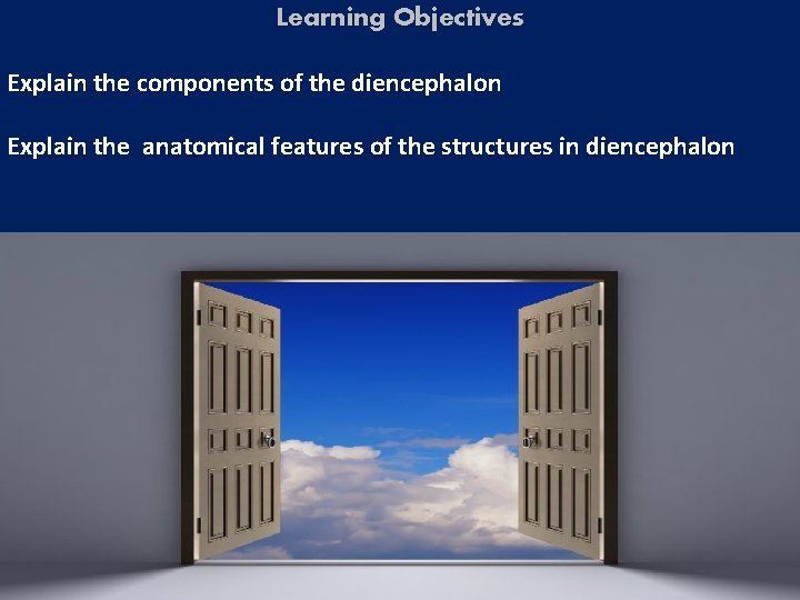 Learning Objectives Explain the components of the diencephalon Explain the anatomical features of the