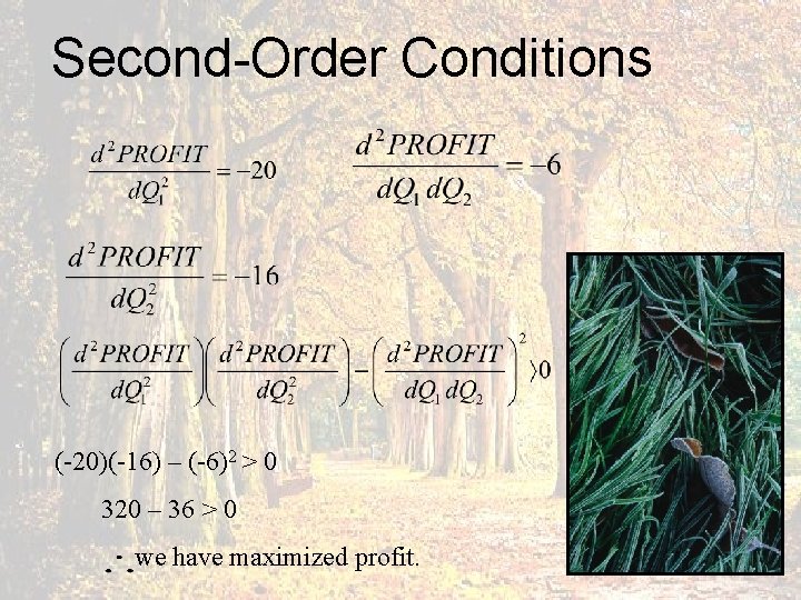 Second-Order Conditions (-20)(-16) – (-6)2 > 0 320 – 36 > 0 we have