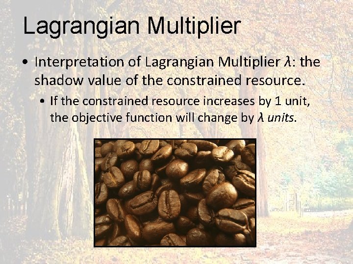 Lagrangian Multiplier • Interpretation of Lagrangian Multiplier λ: the shadow value of the constrained