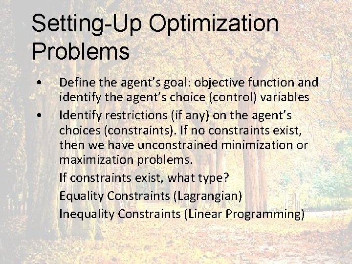 Setting-Up Optimization Problems • • Define the agent’s goal: objective function and identify the